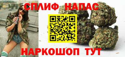 молекула духа Гатчина
