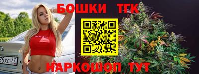 молекула духа Гатчина
