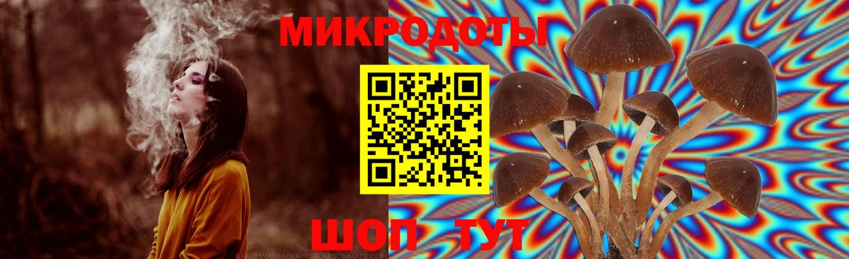 Псилоцибиновые грибы Cubensis Ликино-Дулёво