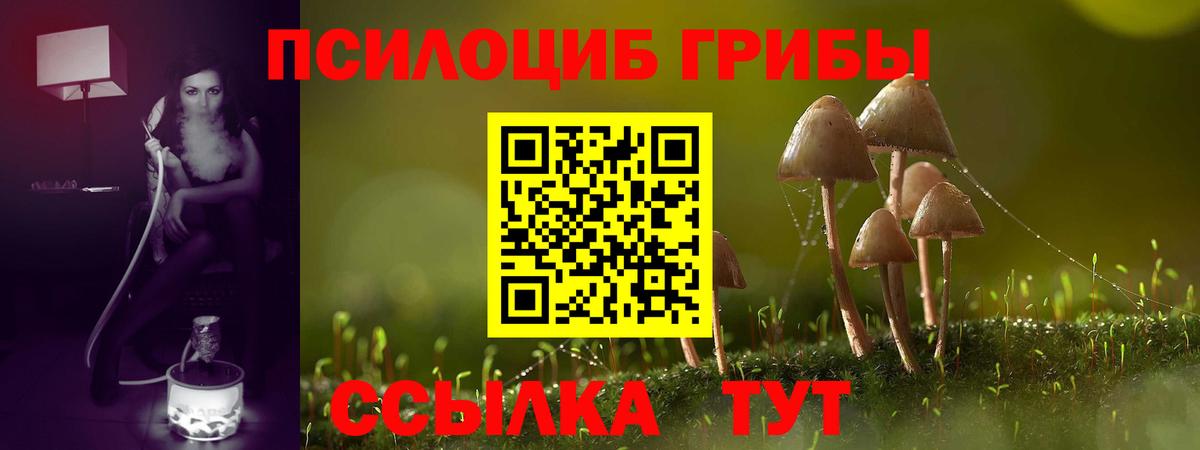 Ликино-Дулёво  Псилоцибиновые грибы Magic Shrooms  Вход с VPN 